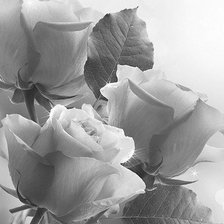 Схема вышивки «№1601459»