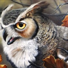 Схема вышивки «Сова»