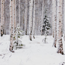 Схема вышивки «№1601802»