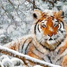 Схема вышивки «№1602501»