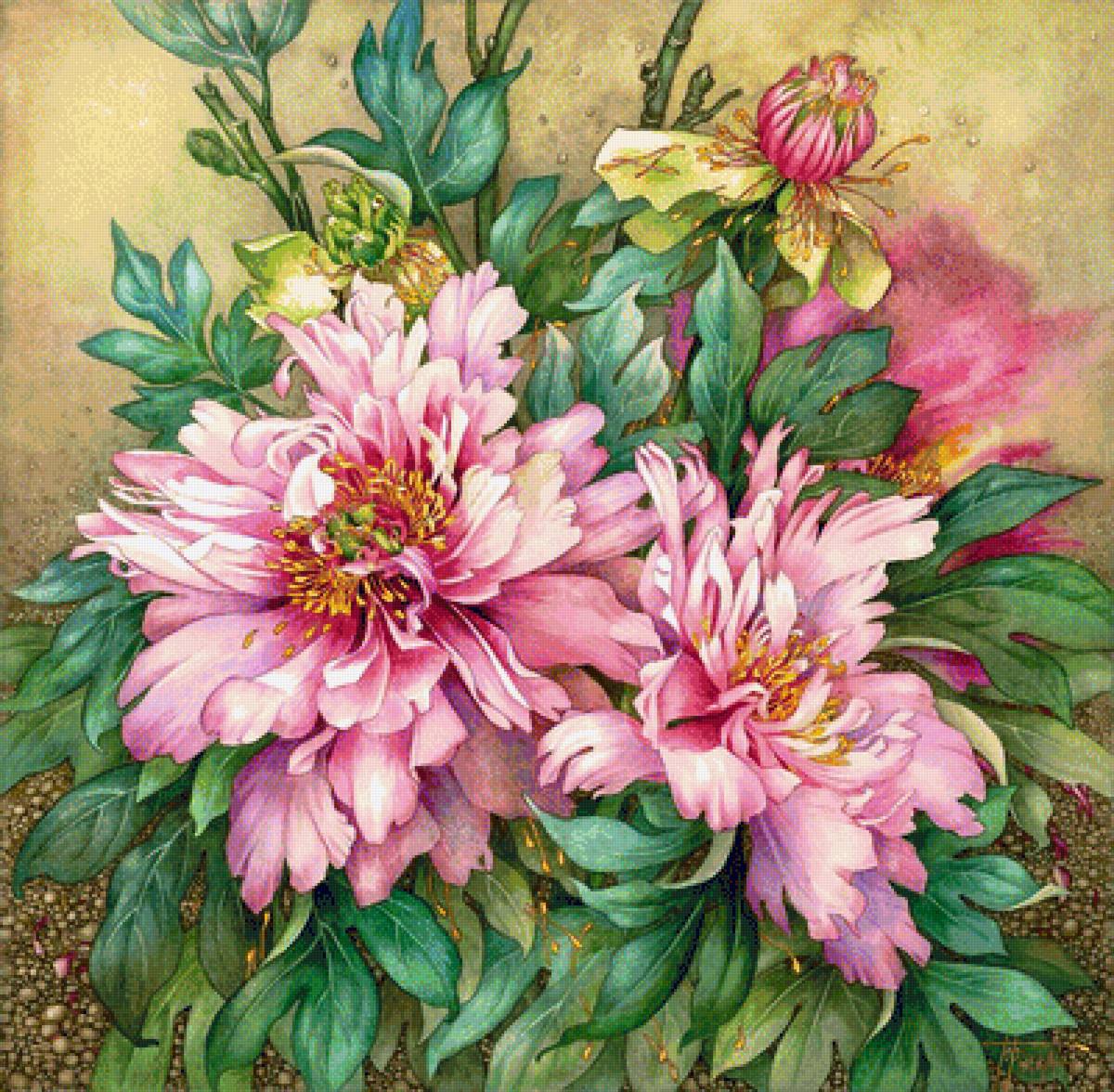 pivonie - предпросмотр