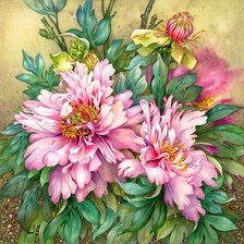 Схема вышивки «pivonie»