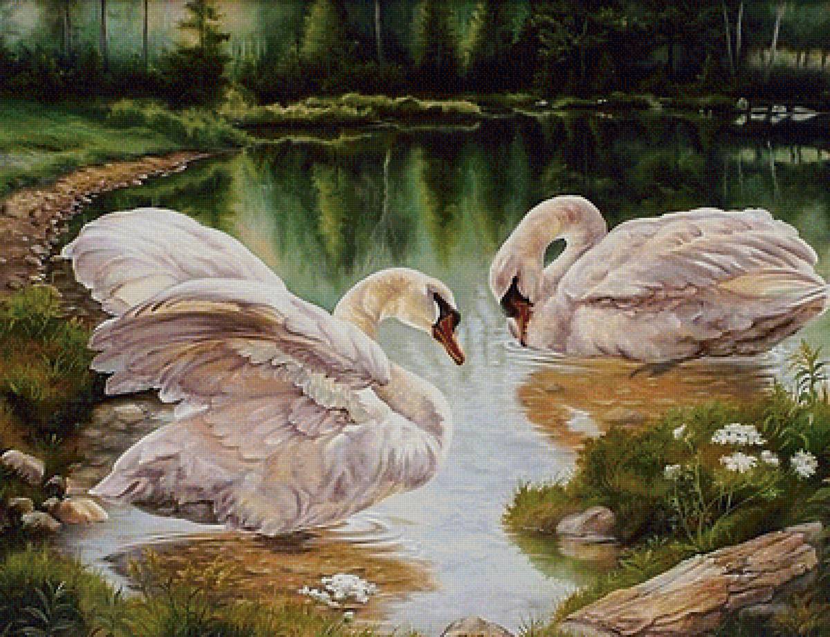 лебединое озеро - птицы, лебедь, пара, лебеди, озеро - предпросмотр