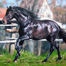 Схема вышивки «Лошадь»