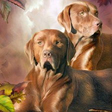 Схема вышивки «Собаки»