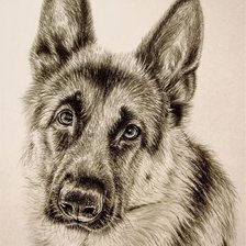 Схема вышивки «Собака»