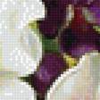 Предпросмотр схемы вышивки «№1604493»
