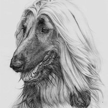 Схема вышивки «афган»