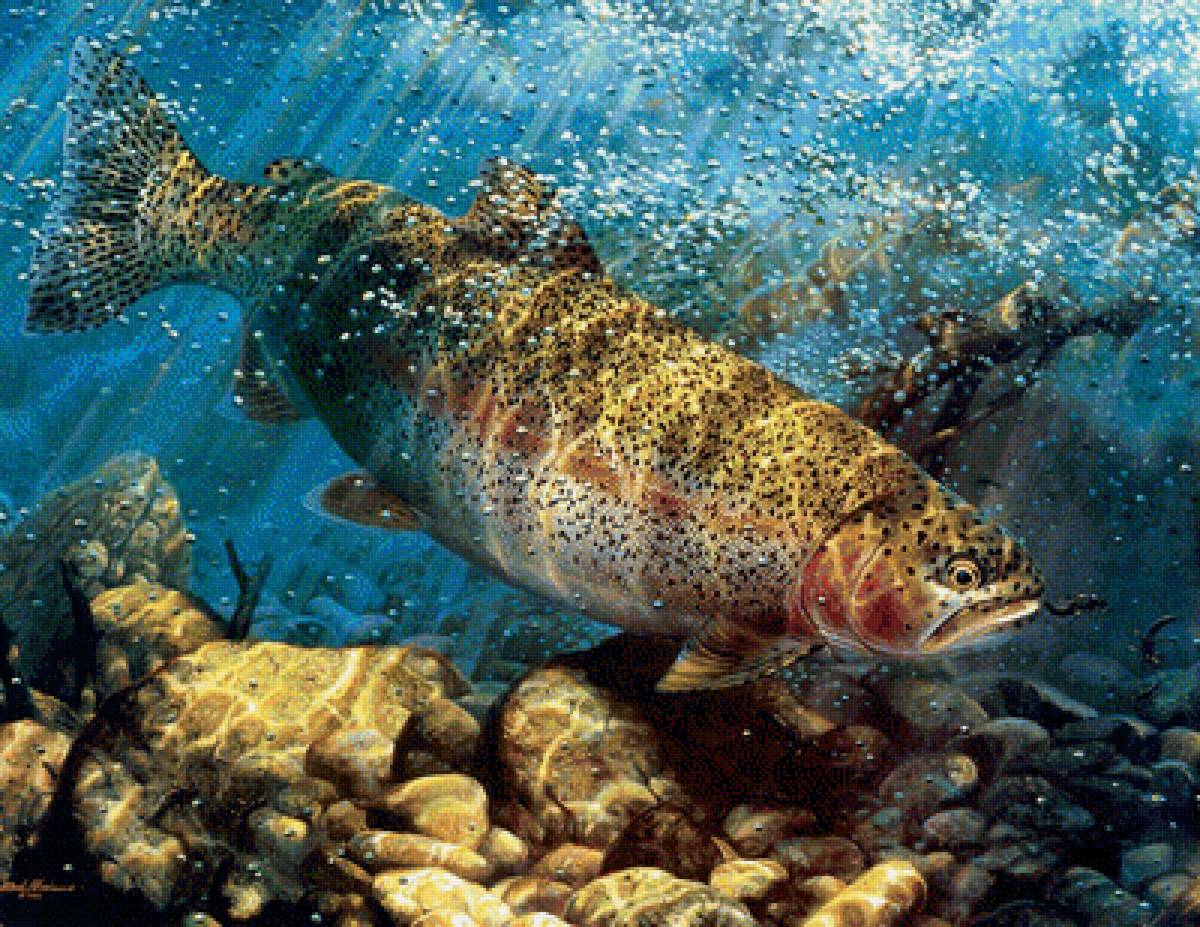 Рыба - вода, подводный мир, рыба - предпросмотр