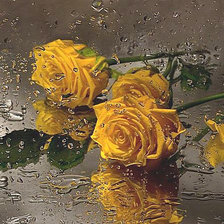 Схема вышивки «№1605330»