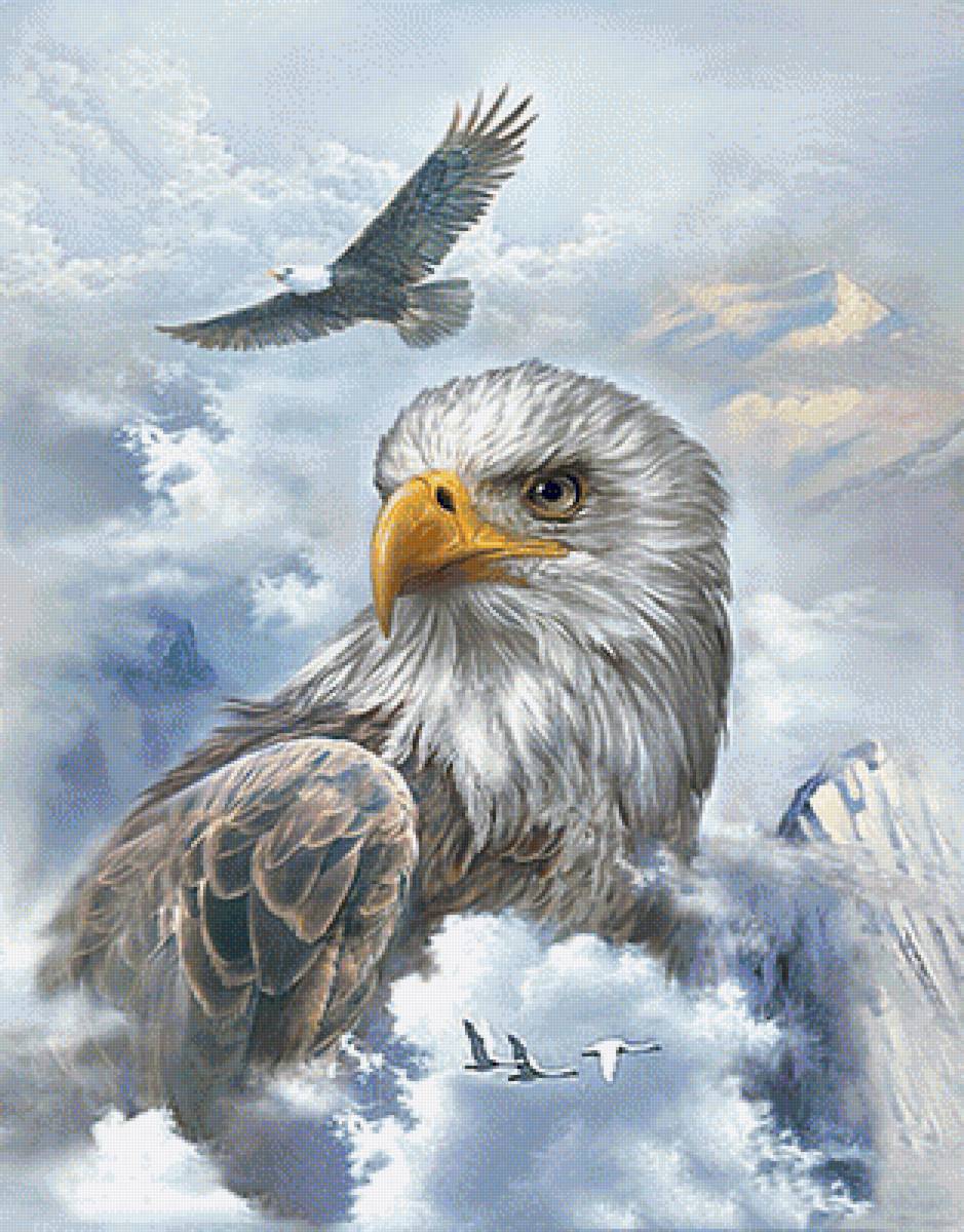 №1605571 - предпросмотр