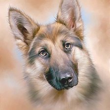 Схема вышивки «№1605578»