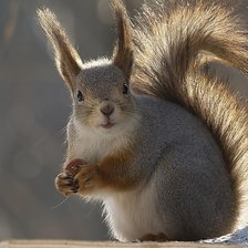 Схема вышивки «№1605724»