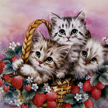 Схема вышивки «mačičky,jahody»