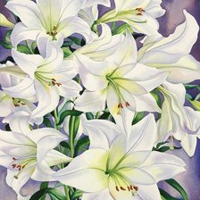 Схема вышивки «№1605997»