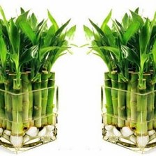 Схема вышивки «бамбук в квадратной вазе»