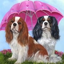 Схема вышивки «Собаки»