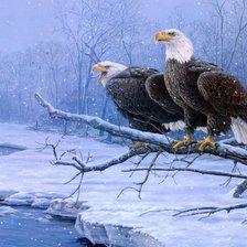 Схема вышивки «Птицы»