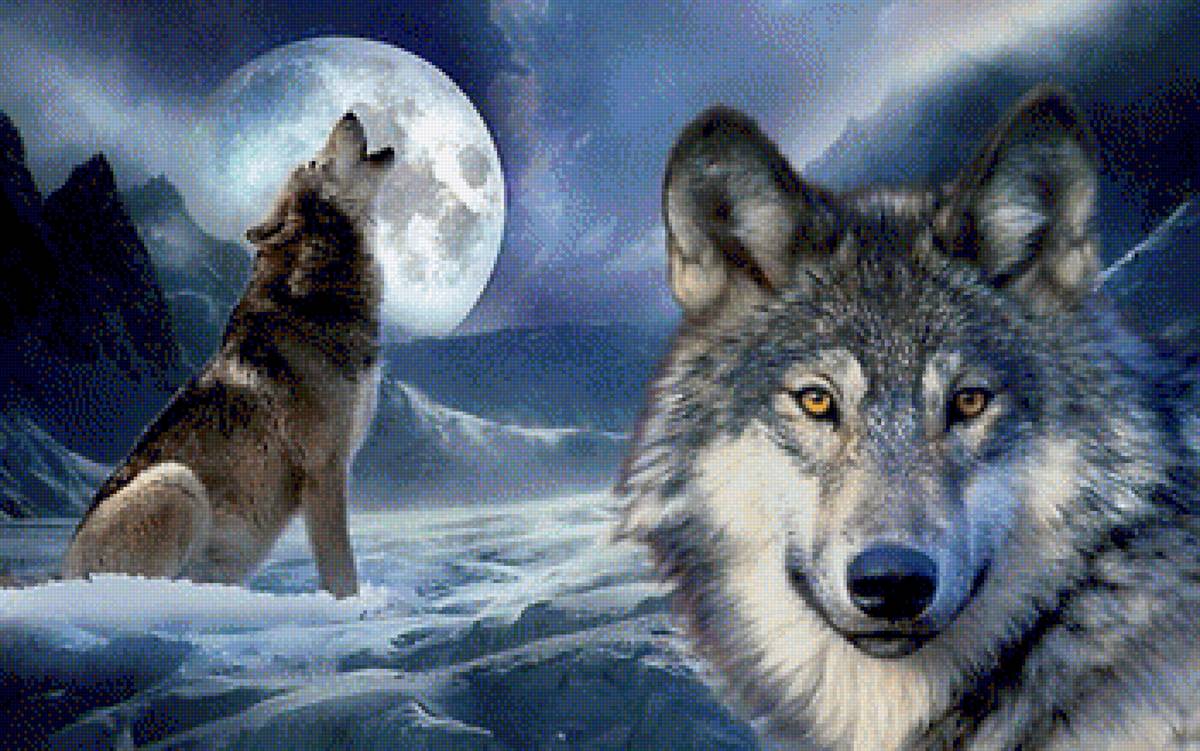 pełnia księżyca - предпросмотр