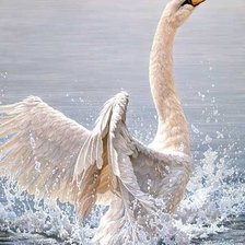 Схема вышивки «Лебедь»