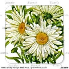 Схема вышивки «ромашки»