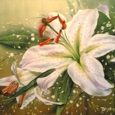 Схема вышивки «белая лилия»