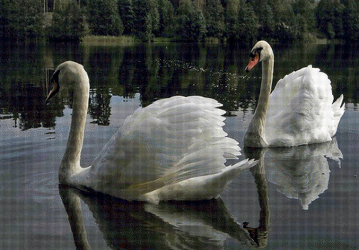 №1607678 - предпросмотр