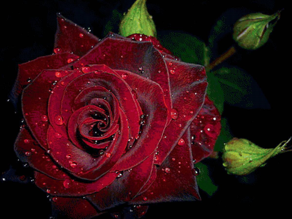 №1607686 - предпросмотр