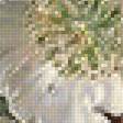 Предпросмотр схемы вышивки «№1608139»