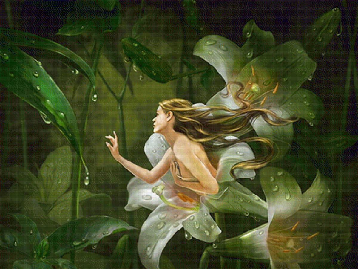 эльф лилии - предпросмотр