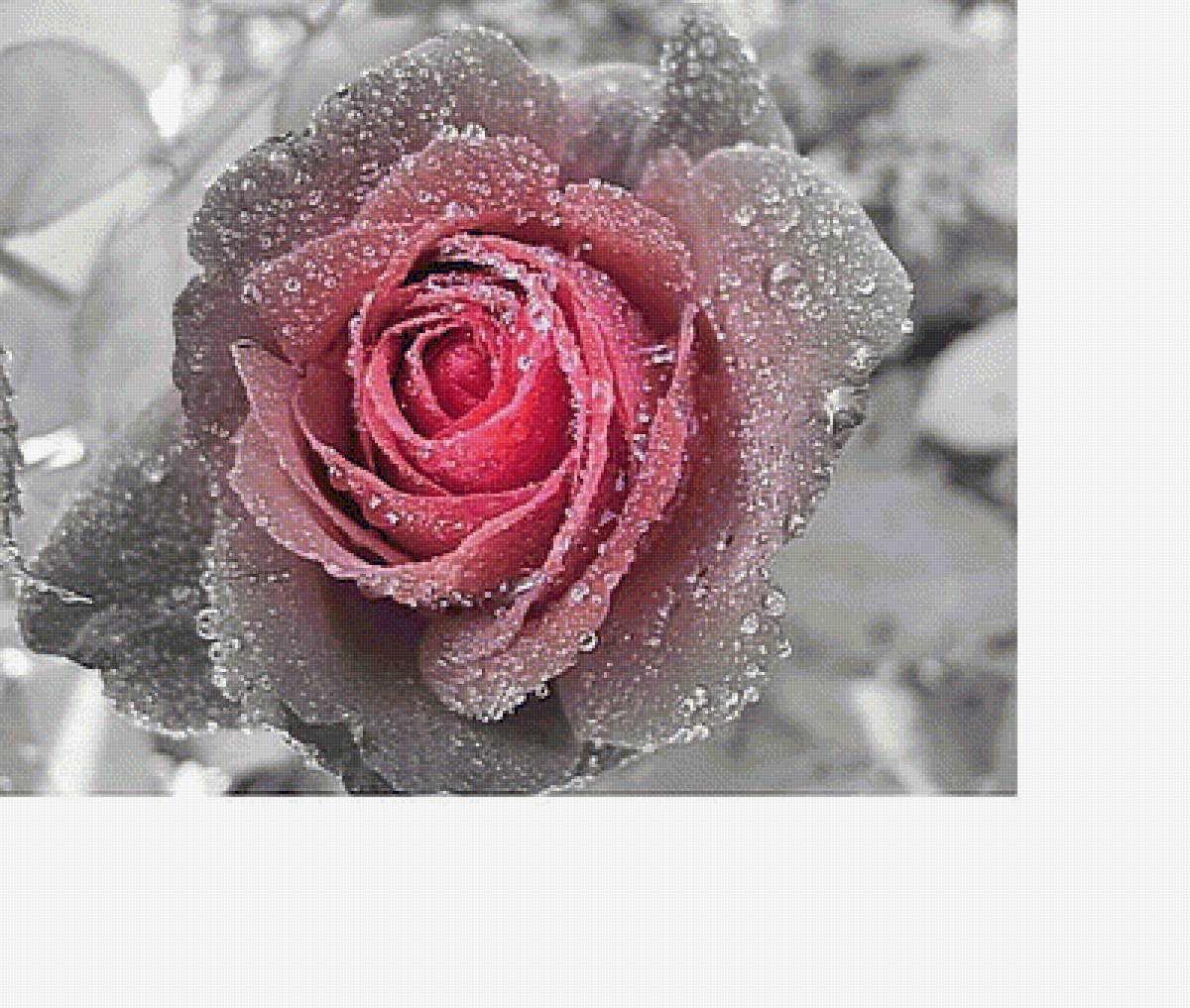 №1608346 - предпросмотр