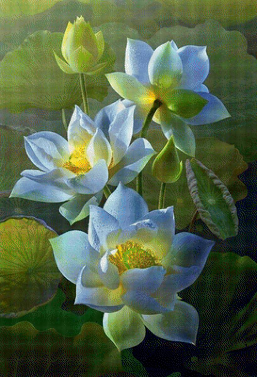 лотос - предпросмотр