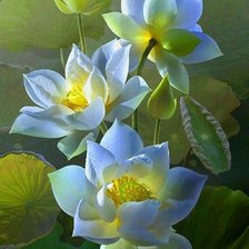 Схема вышивки «лотос»