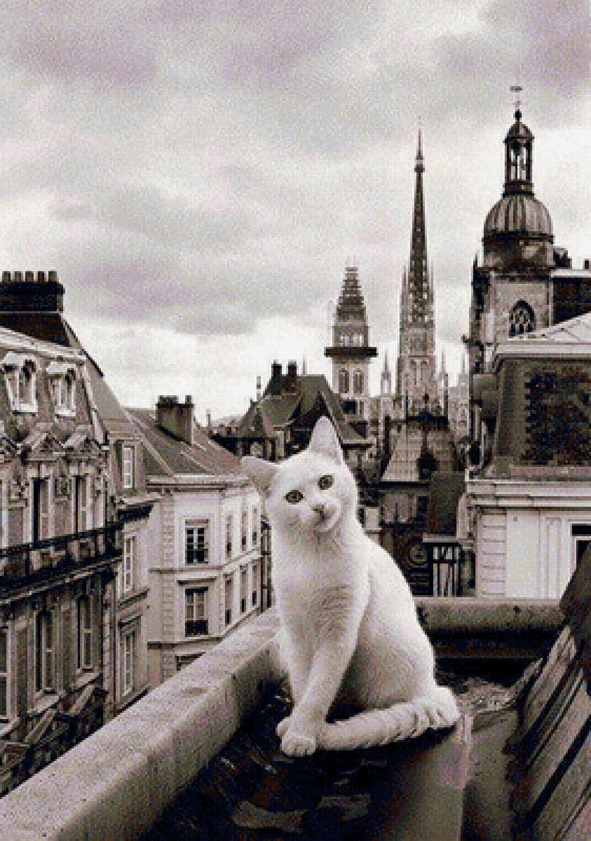 уличный котик - кот, монохром, улица, кошка - предпросмотр