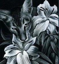 Схема вышивки «кот в цветах»