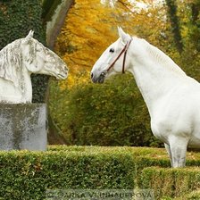 Схема вышивки «Кладрубер»