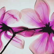 Схема вышивки «цветок»