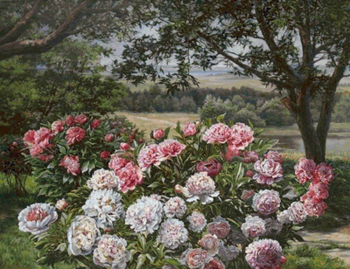 Пионы - лес, река, даль, цветы, дерево - предпросмотр