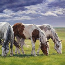 Схема вышивки «Horses»