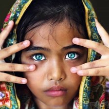 Схема вышивки «Айви»