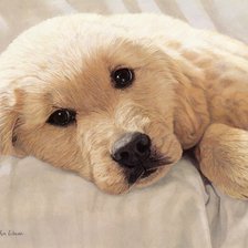 Схема вышивки «Белый щенок»