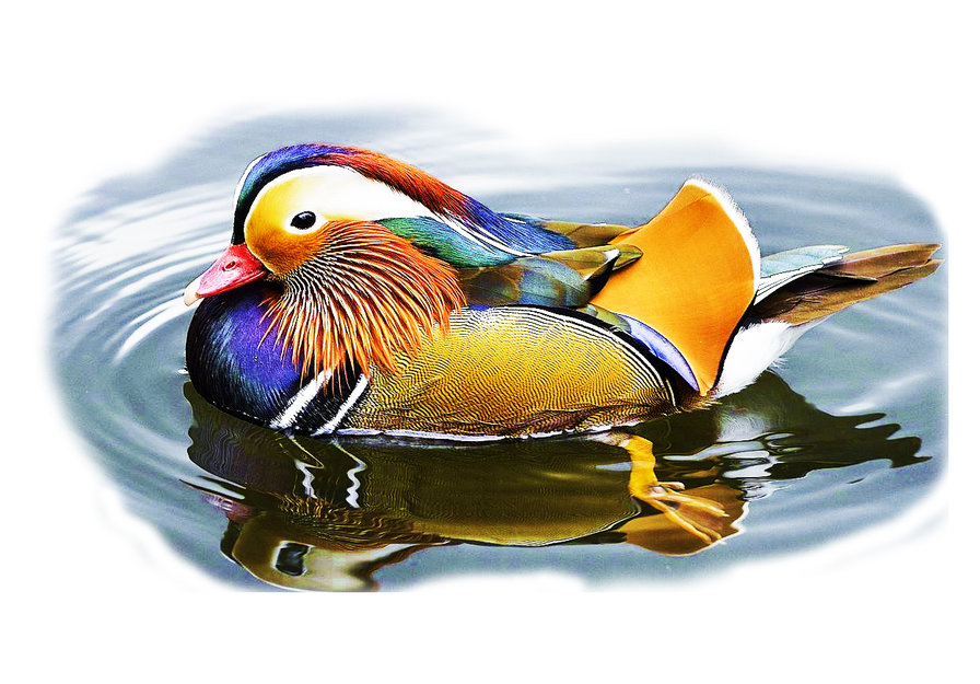 Мандаринка - оригинал