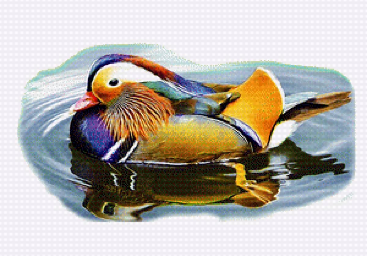 Мандаринка - предпросмотр