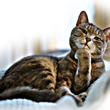 Схема вышивки «Я вас слушаю)))»