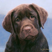 Схема вышивки «Щенок»