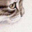 Предпросмотр схемы вышивки «Котик» (№1609824)