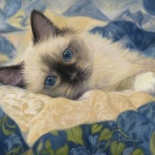 Схема вышивки «Сиамский котенок»