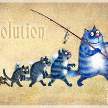 Схема вышивки «эволюция»