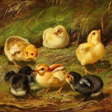 Схема вышивки «Цыплята»