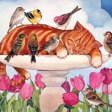 Схема вышивки «Кот»